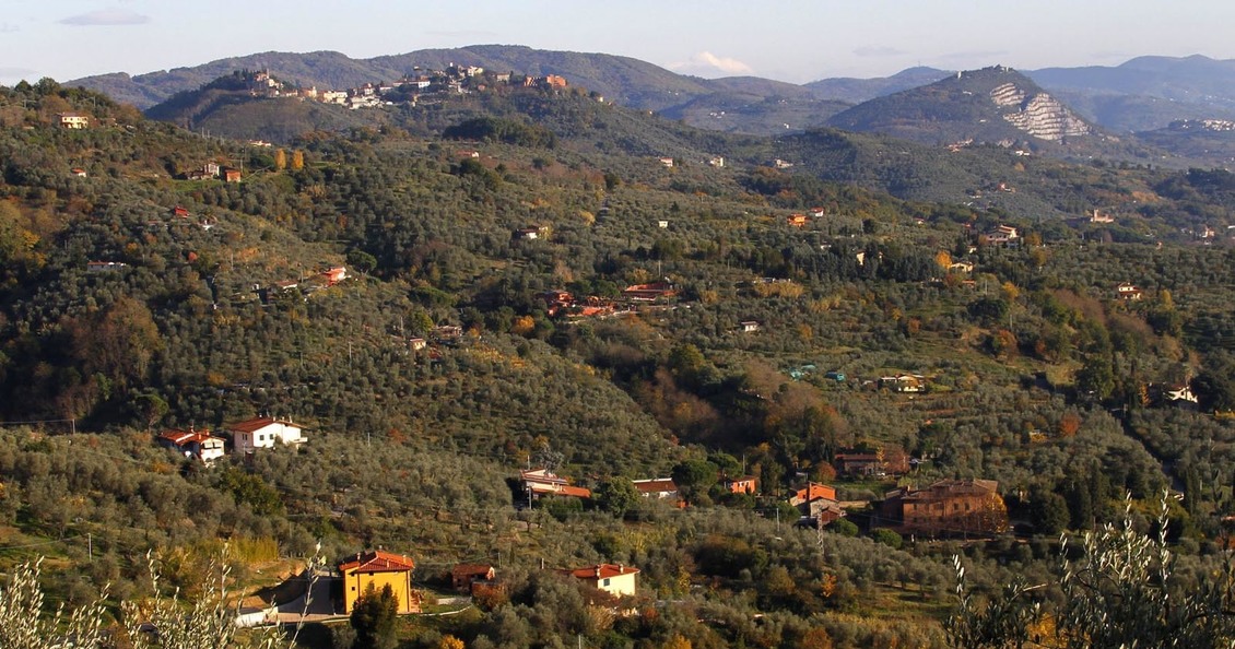 Villa Alfresco_casa vacanze toscana 12 piscina_ valdinievole 2