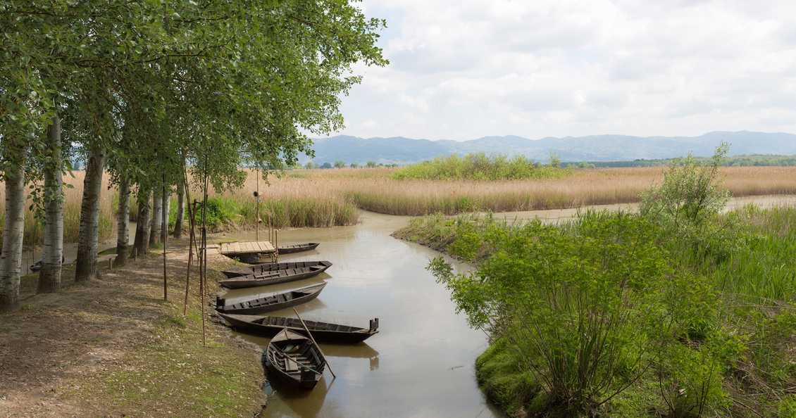 Villa Alfresco_casa vacanze toscana 12 piscina_ valdinievole 4